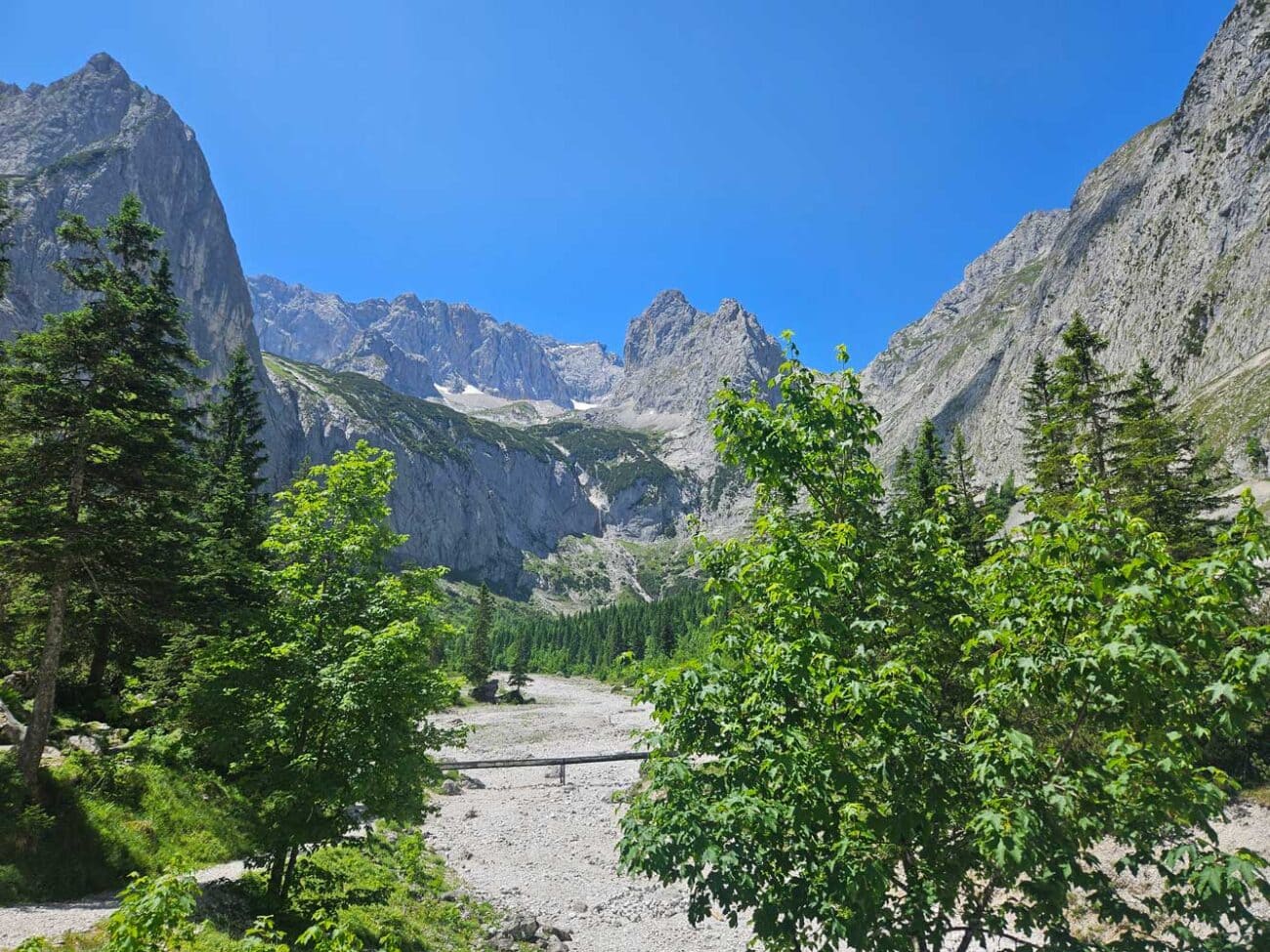 Blick über das obere Höllental mit grünen Bäumen und Bergpanorama