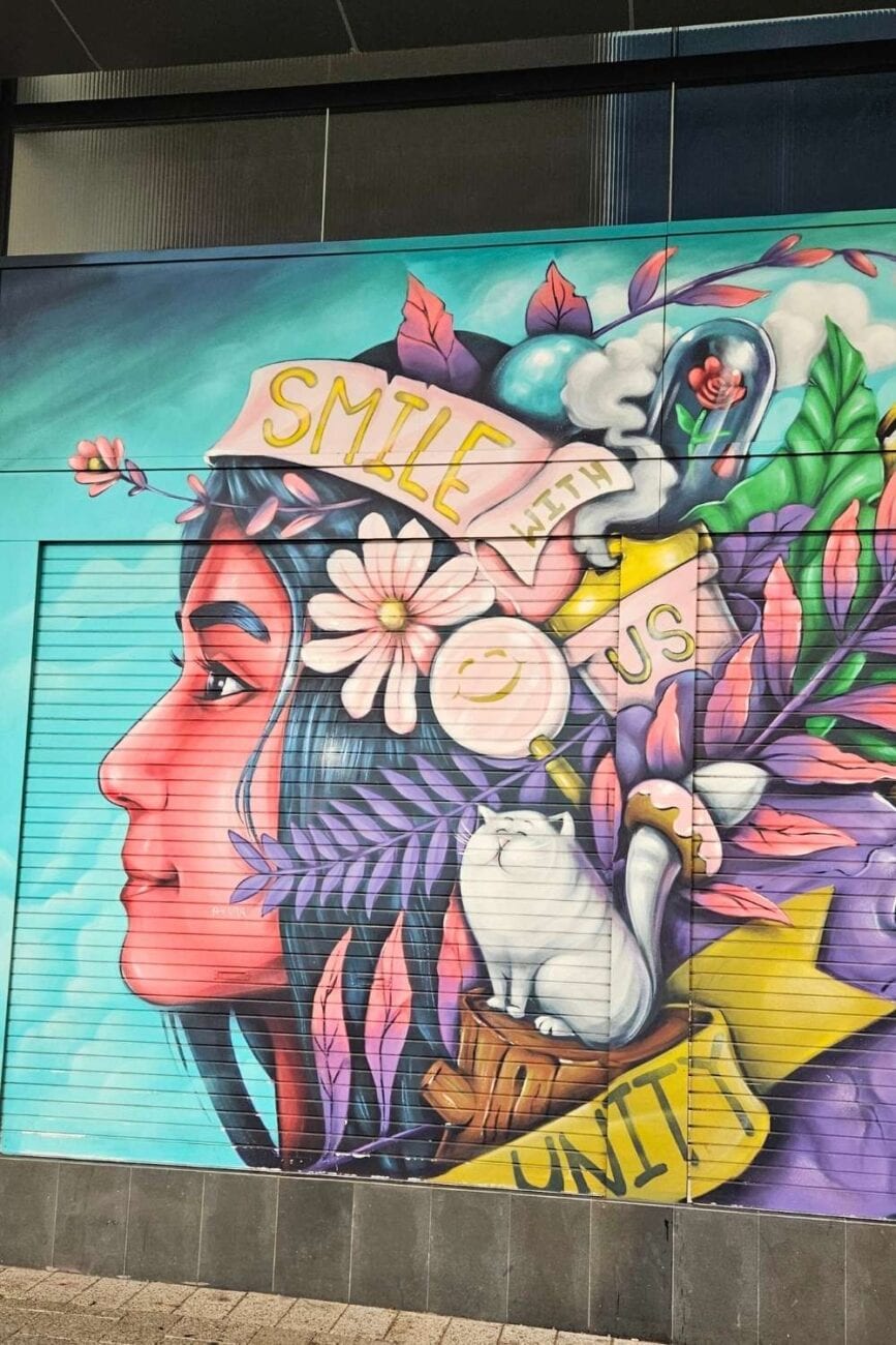 Bunte Streetart in Perth – Wandgemälde mit urbanem Motiv in einer Seitengasse der Innenstadt