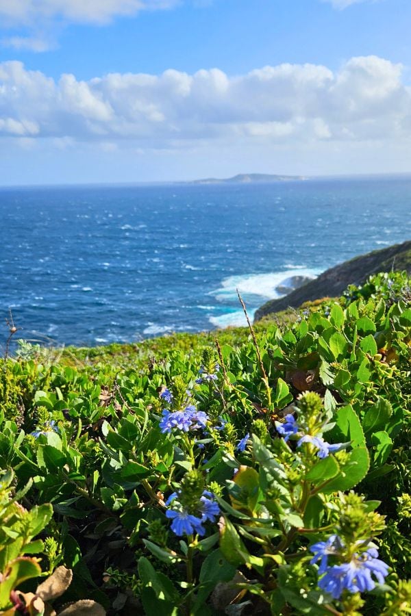 Torndirrup Nationalpark