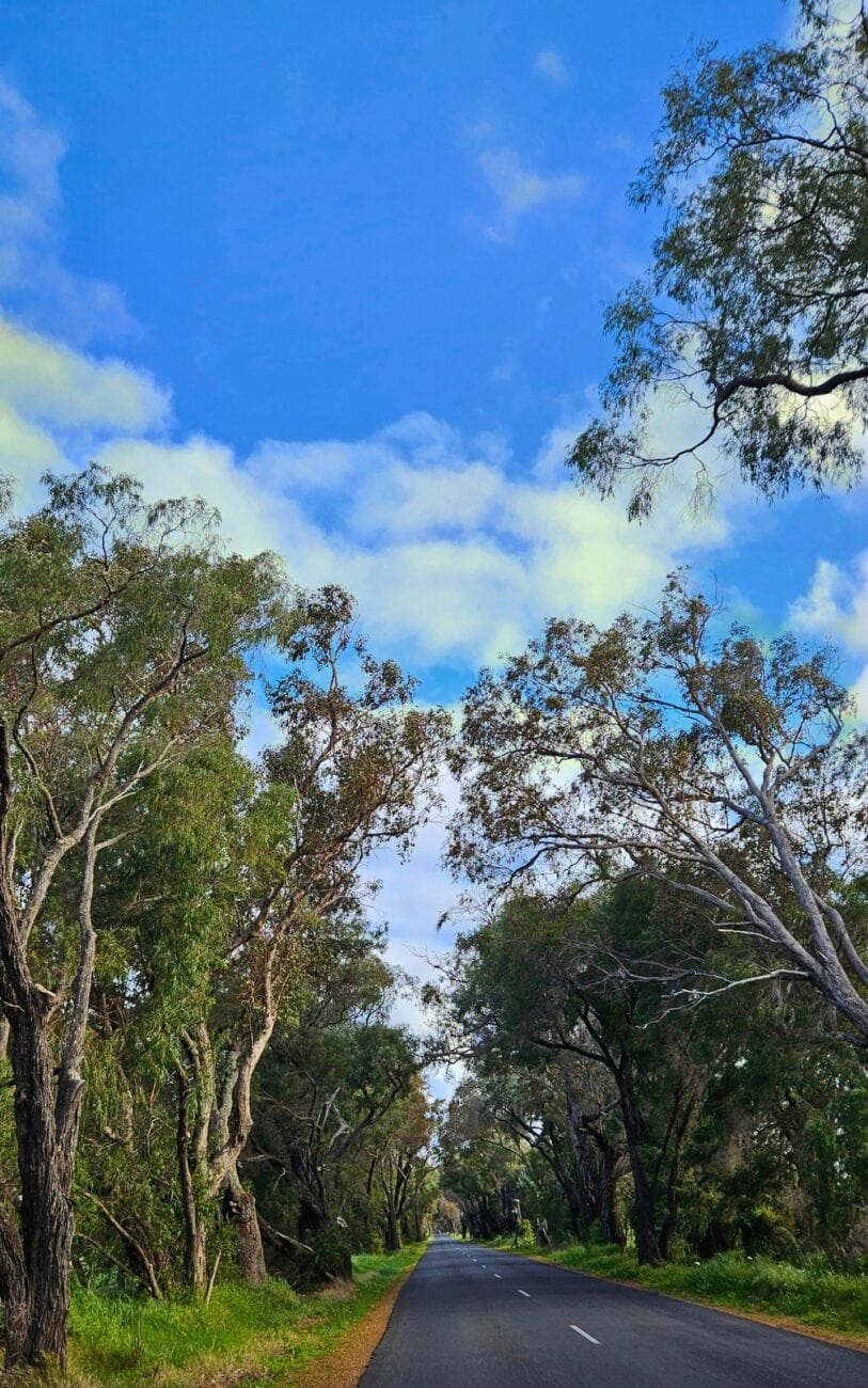 Sehenswürdigkeiten Margaret River, Westaustralien
