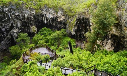 Margaret River – Natur, Höhlen und Kulinarik: Unsere Highlights in 3 Tagen
