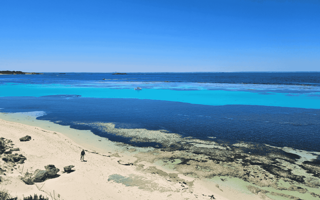 Perth & Rottnest Island – unsere Tipps für Stadt & Inselerlebnis