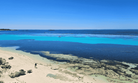 Perth & Rottnest Island – unsere Tipps für Stadt & Inselerlebnis<br>