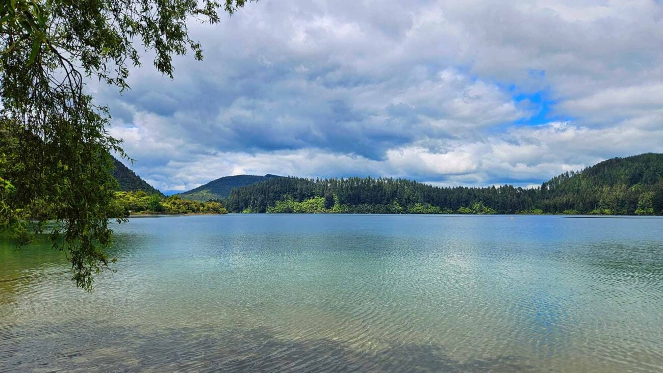 Wanderweg am Blue Lake Rotorua