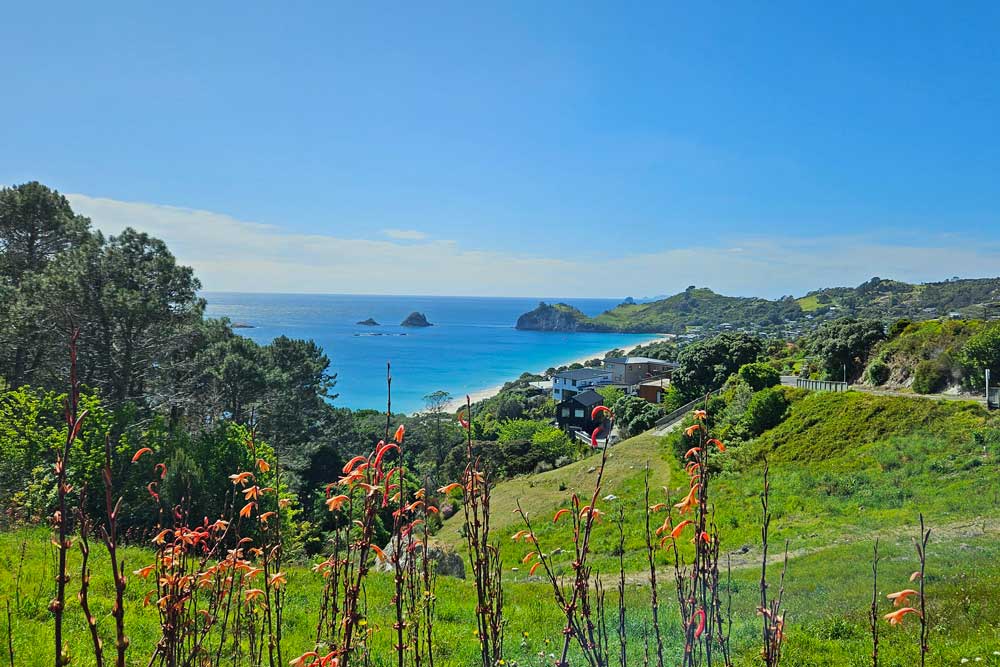 Blick auf Hahei Beach und vorgelagerte Inseln auf der Coromandel-Halbinsel, Neuseeland