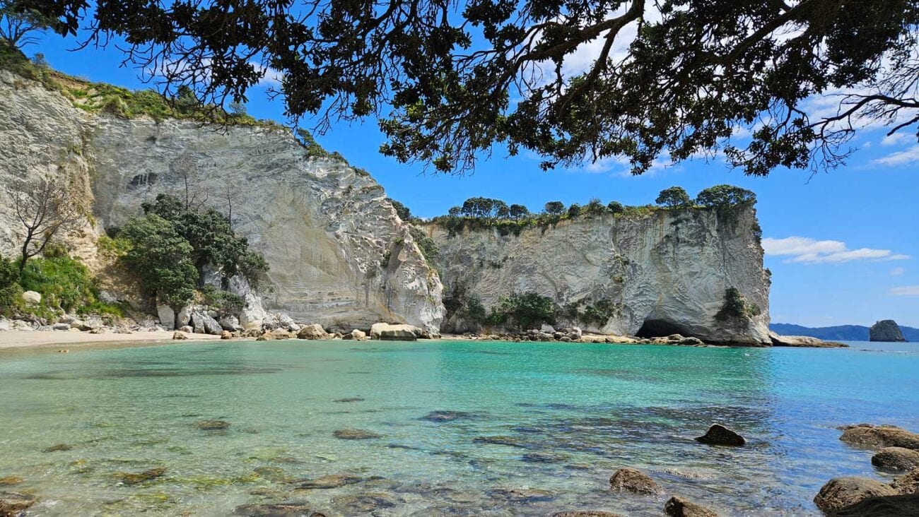  Idyllische Lonely Bay bei Hahei auf der Coromandel-Halbinsel, Neuseeland