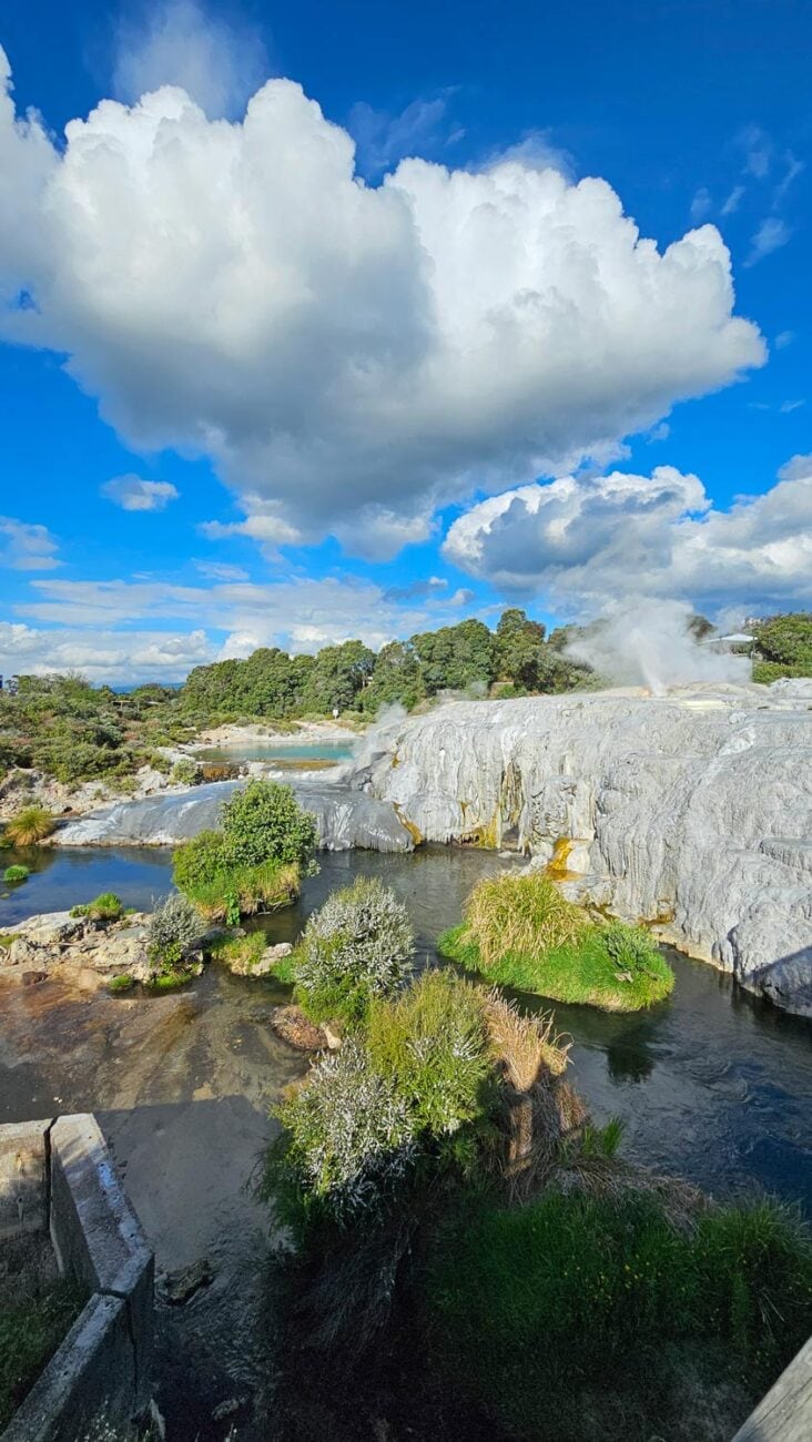 Blubbernde Schlammtöpfe im Geothermalgebiet Te Puia Rotorua