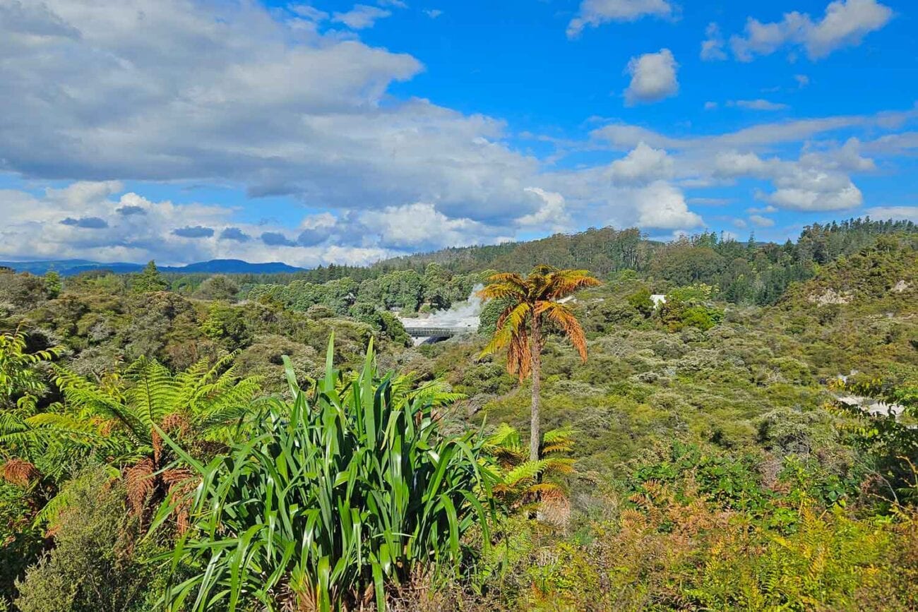 Geothermalpark Te Puia in Rotorua