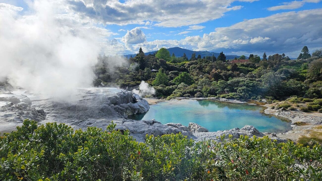 Rotorua Neuseeland Sehenswürdigkeiten und Tipps