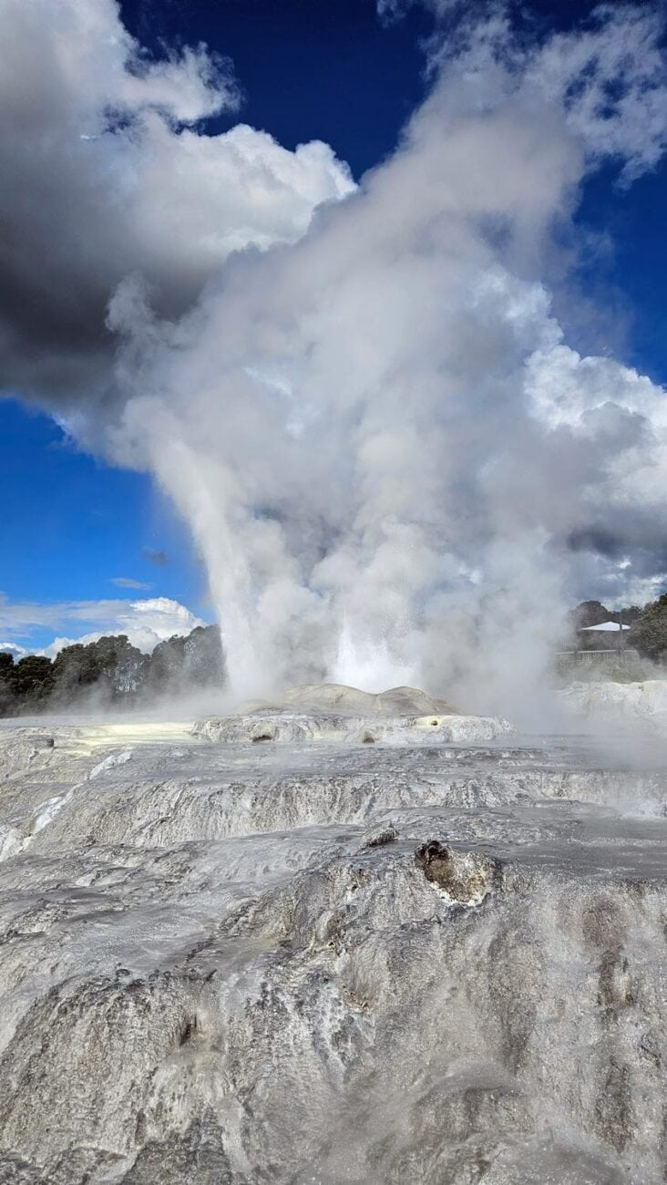 Pohutu Geysir im Geothermalpark Te Puia, Rotorua
