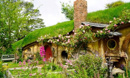 Hobbiton Movie Set – magischer Drehort & meine Tipps für deinen Besuch in Neuseeland