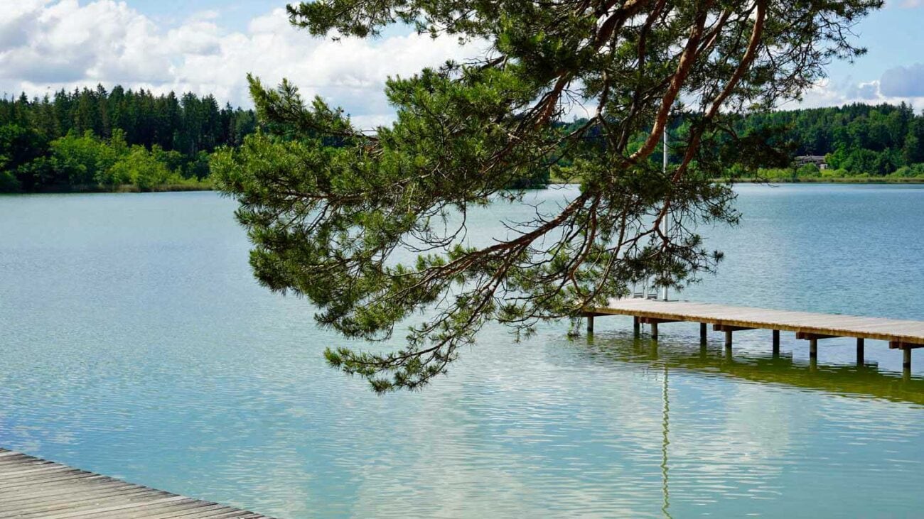 Natur pur im Chiemgau in der Eggstätt-Hemhofer-Seenplatte