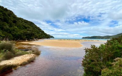 Abel Tasman Nationalpark Tipps: echte Erfahrungen zur „tropischen Perle“ Neuseelands