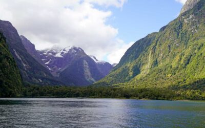 Milford Sound & Te Anau: Meine besten Tipps für Anreise, Stopps und Bootstour