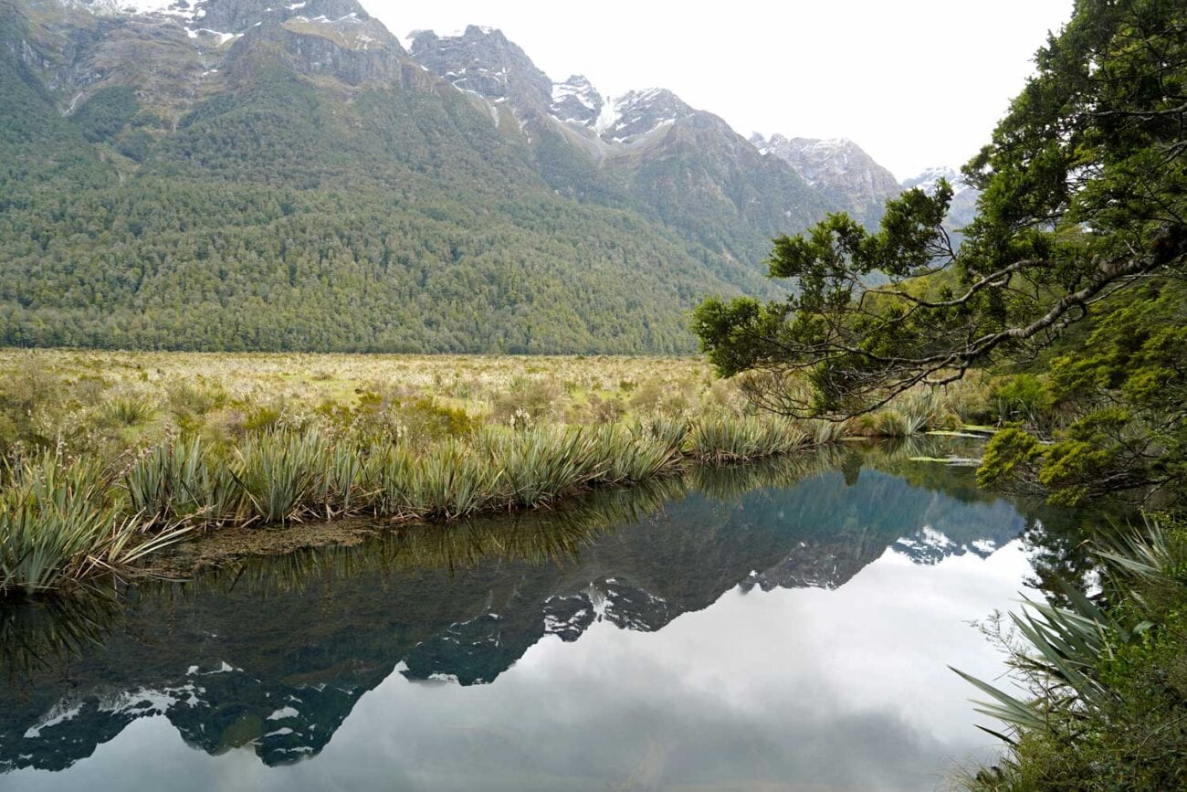 Mirror Lakes an der Milford Road mit Spiegelung der Berge bei ruhigem Wetter