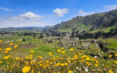 Ecuador Reiseroute für 3,5 Wochen: meine Rundreise mit Quito, Mindo, Amazonas, Anden und Galápagos