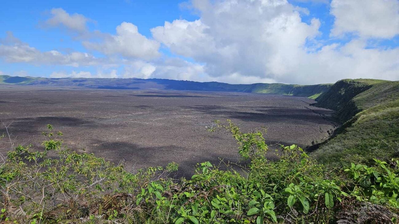 Bizarre Lava- und Kraterlandschaft am Sierra Negra auf Isabela, Galápagos