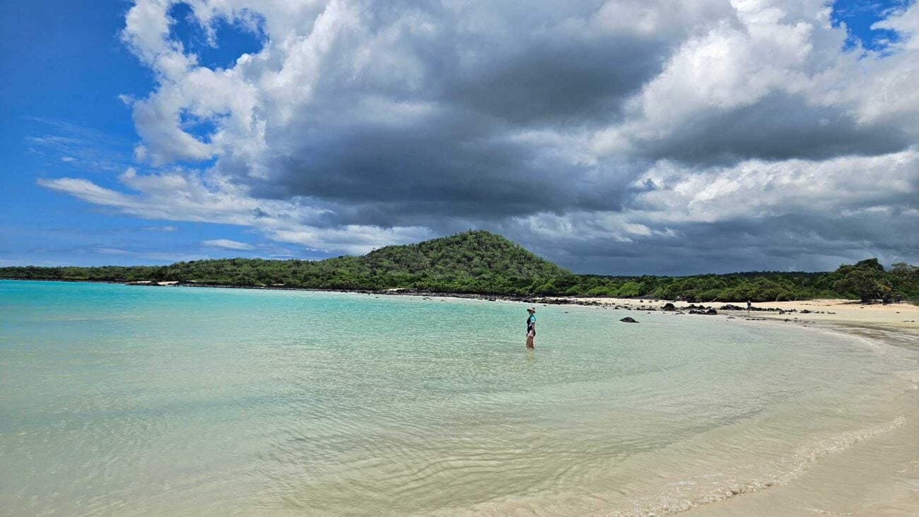 Strand auf Santa Cruz mit hellem Sand und klarem Wasser