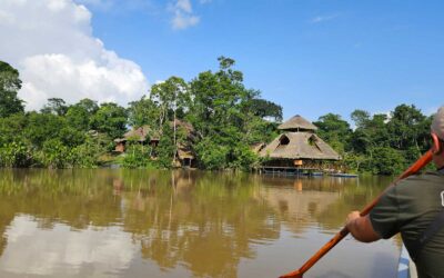 Amazonas in Ecuador: Unsere 4 Tage im Yasuní-Regenwald in der Sani Lodge