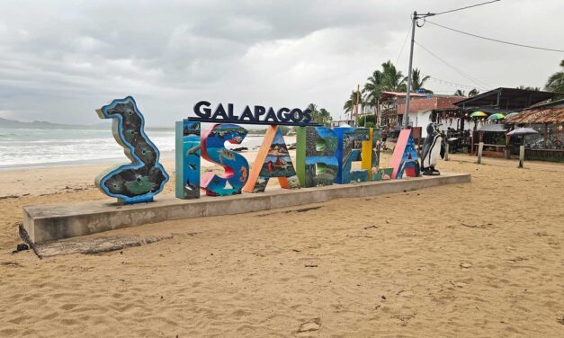 Isabela auf Galápagos: Vulkanlandschaft, Strände & meine Erfahrungen