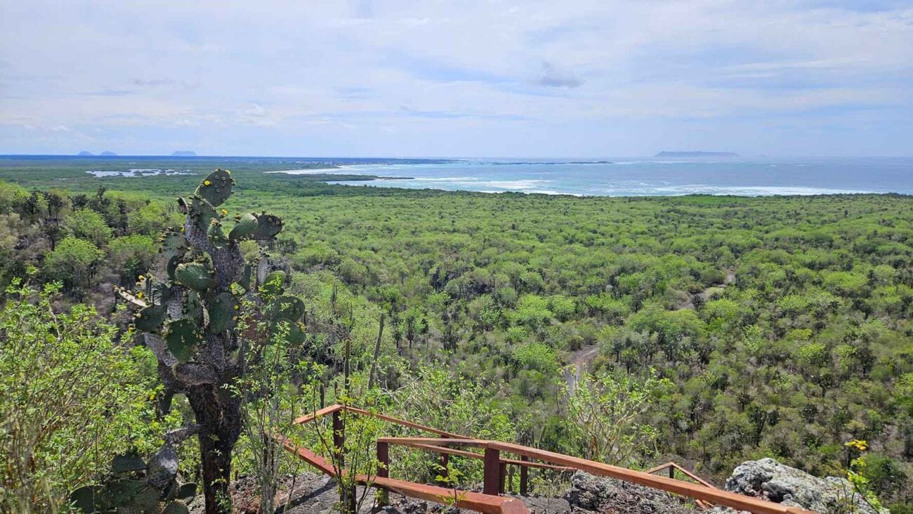 Aussichtspunkt entlang der Fahrradroute zur Mauer der Tränen auf Isla Isabela.