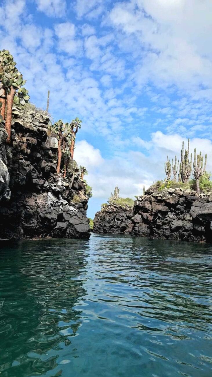 Kajaktour in der Bucht von Puerto Ayora auf Santa Cruz