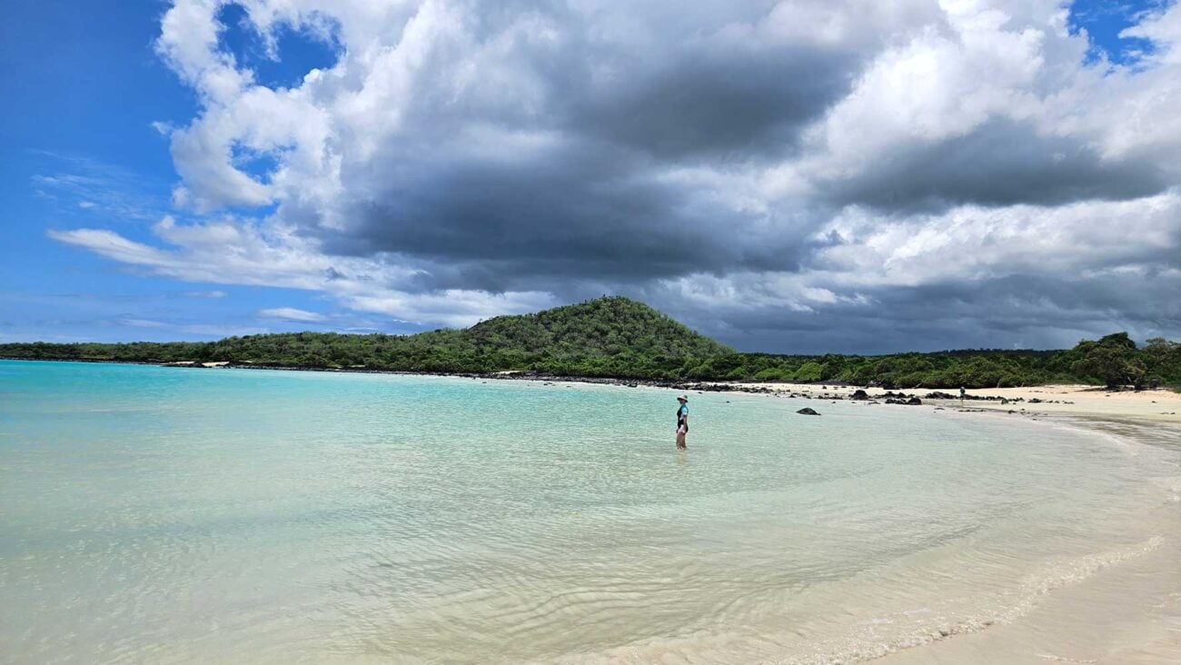Garrapatero Beach auf Santa Cruz mit hellem Sand und türkisblauem Wasser