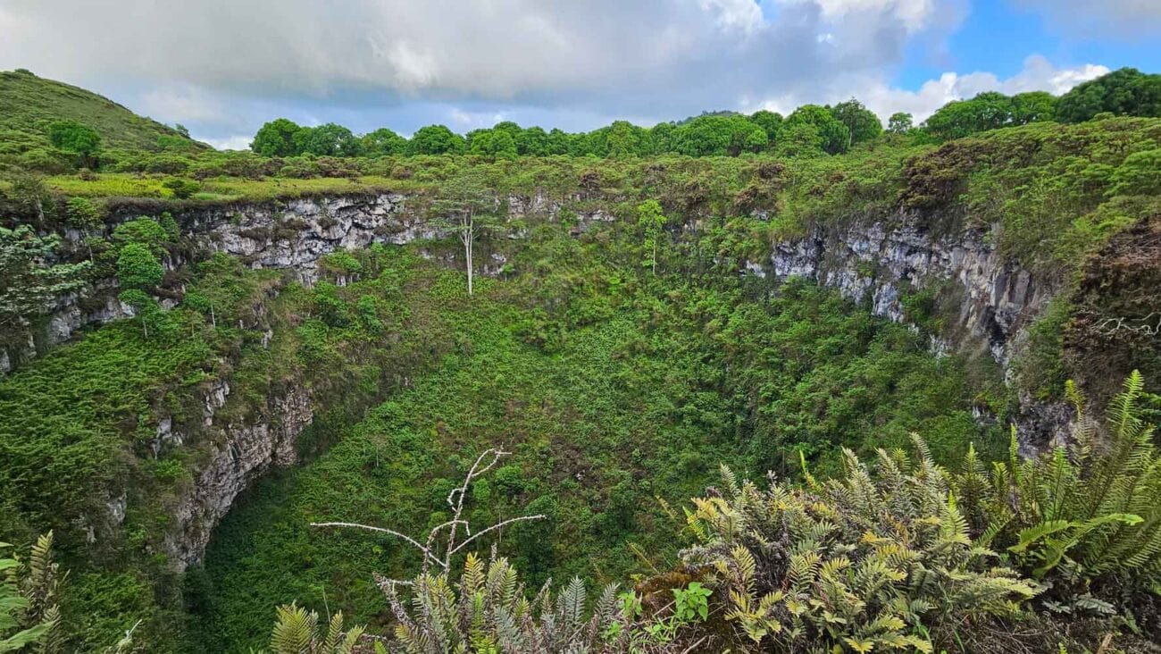 Los Gemelos im Hochland von Santa Cruz auf Galapagos