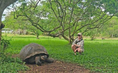 Santa Cruz auf Galapagos: Highlights, Tipps und meine Erfahrungen
