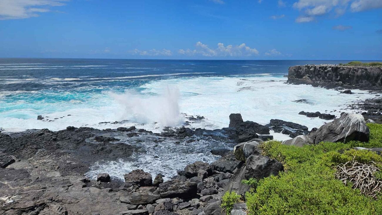 Küste mit Blowholes auf Espanola