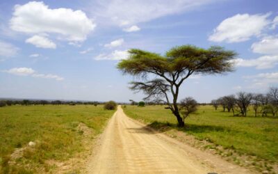 Tansania Rundreise Route für 2–3 Wochen: unsere 18 Tage Safari & Sansibar