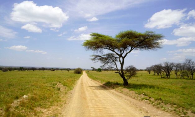 Tansania Rundreise Route für 2–3 Wochen: unsere 18 Tage Safari & Sansibar