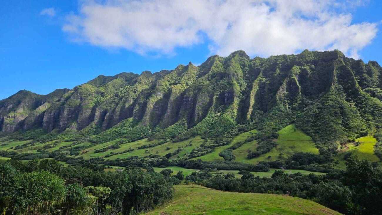 Oahu in Hawaii mit tropischer Umgebung