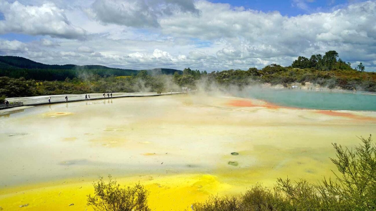 Landschaft in Neuseeland mit Geothermiegebiet