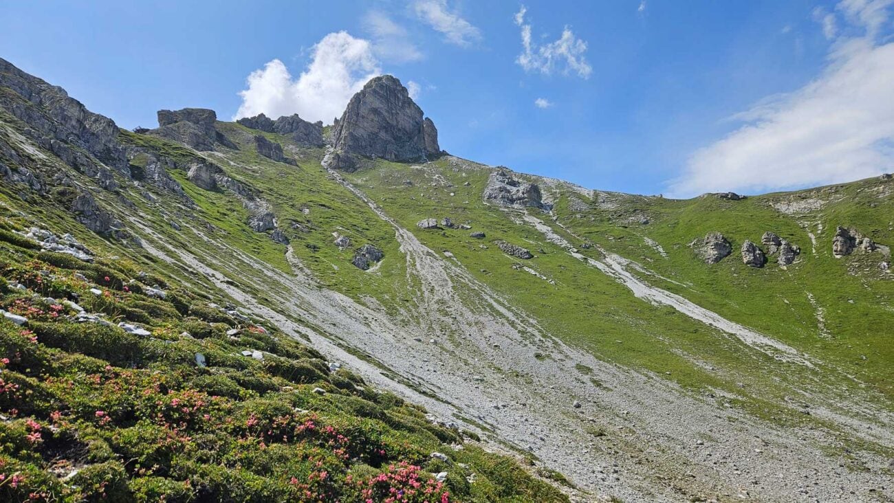 Gipfel des Hohen Burgsalls mit Wegen und Gelände