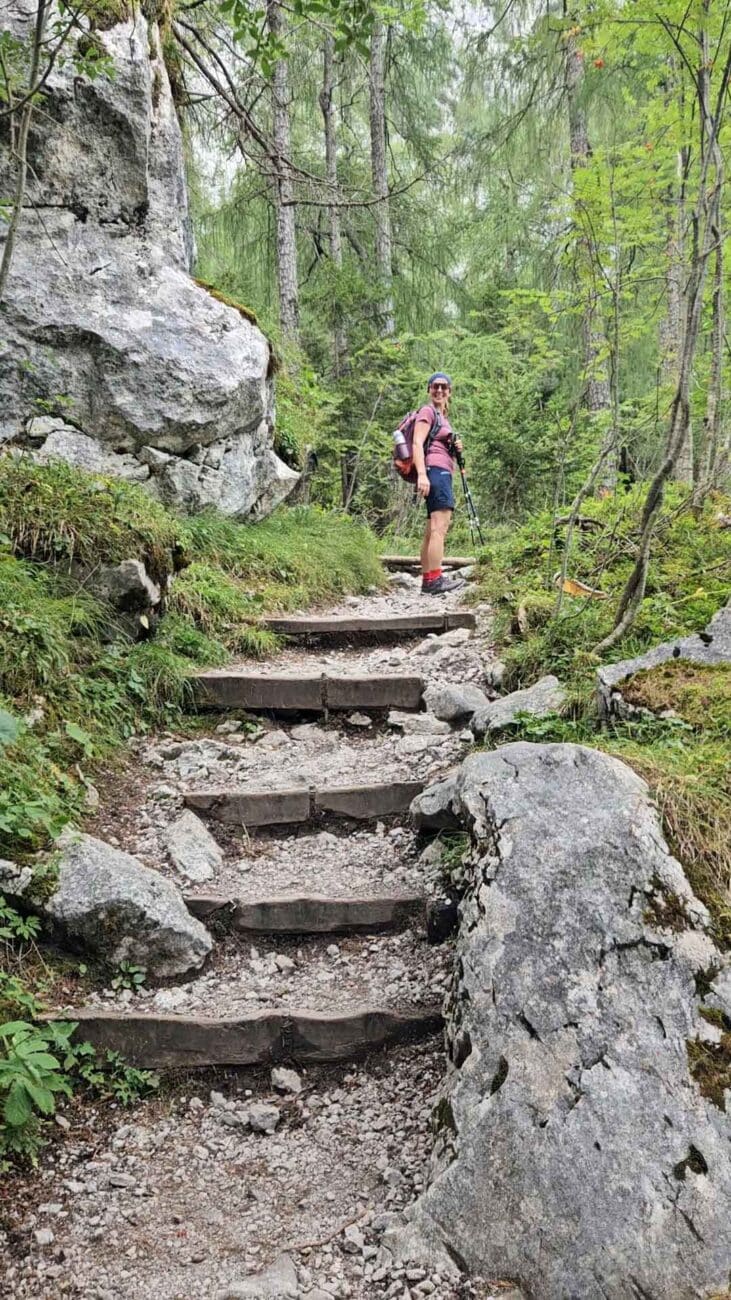 Steiler Bergsteig mit Holzstufen auf dem Weg zur Blaueishütte